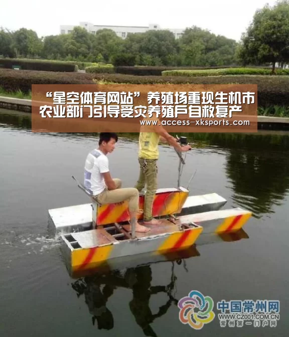 星空体育官网