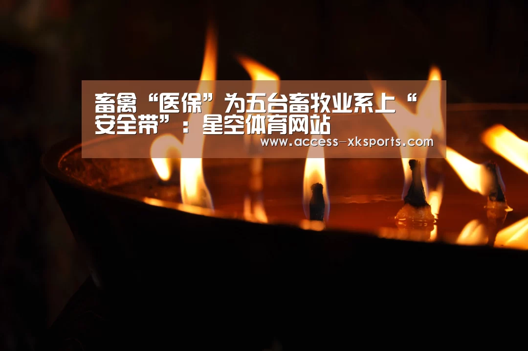 星空体育官网