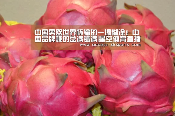 星空体育中国
