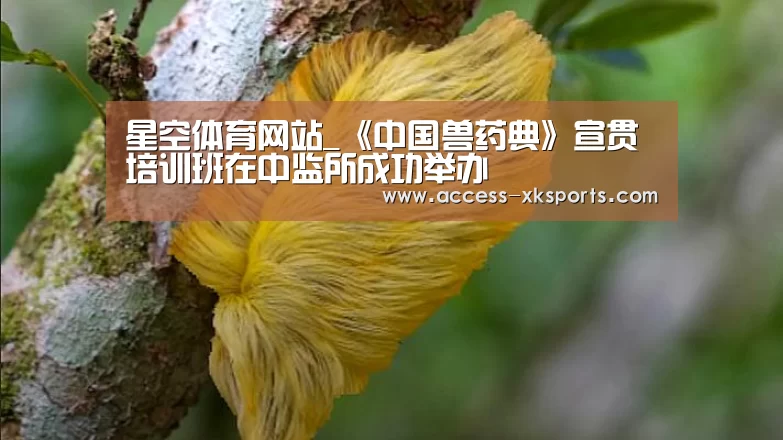 星空体育官网